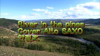 River in the pines cover AltoSaxo 안철호 [upl. by Nwahc]