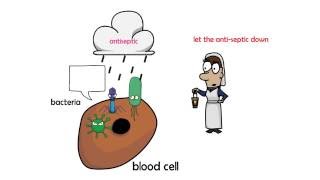 antiseptic vs disinfectant [upl. by Nivlek218]