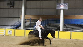 Amazing Reining freestyle [upl. by Ika5]