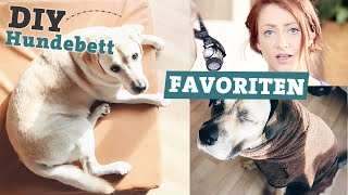 FAVORITEN Hundezubehör  DIY Hundebett selber machen  Bademantel für Hunde [upl. by Alban]