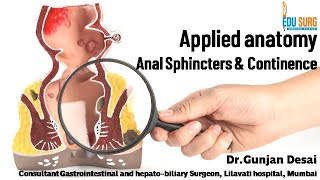 Applied anatomy of Anal canal 2  Anal sphincter complex amp continence mechanism  Edusurg Clinics [upl. by Nanji815]