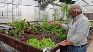 Meeting Dr James Ebeling  aquaponics in Arizona  HWT 25 [upl. by Laamaj]