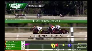 “The Pasco Stakes 2022” Tampa Bay Downs Horse Markhamian [upl. by Poucher]