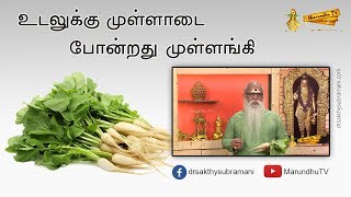 உடலுக்கு முள்ளாடை போன்றது முள்ளங்கி  Benefits of Radish Raphanus raphanistrum subsp sativus [upl. by Jaella576]