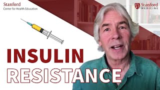 What is insulin resistance Why does it happen Dr Christopher Gardner [upl. by Onailime714]