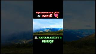 Deomali is tha Highest Mountain🏔️ DeomaliShortsTrandingkoraputia new songShortJai Kalahandi1230 [upl. by Oihsoy]