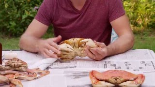 How to Eat a Crab [upl. by Ana]