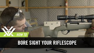 How To Bore Sight Your Rifle [upl. by Bluh]