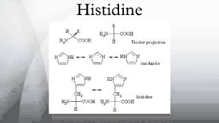 Histidine [upl. by Stenger]