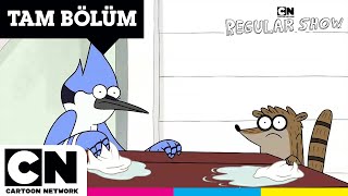 SÜREKLİ DİZİ  Bay Patron  TAM BÖLÜM  cartoonnetworkturkiye [upl. by Tal]