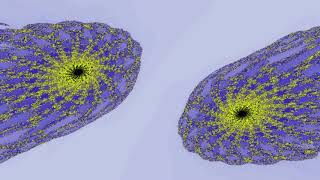 Fractals in Octonion algebra [upl. by Vevine798]