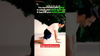 Yoga and Exercises  Improve Pelvic Function 🧘‍♂️✅💯trending shorts viral exercise yoga yt [upl. by Seline]