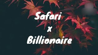 Sarena x Otilia  Safari x Billionaire  Lyrics video [upl. by Homovec]