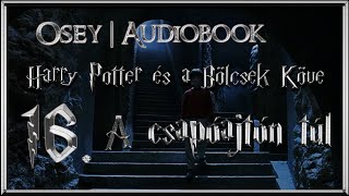 Harry Potter és a Bölcsek Köve hangoskönyv  16 fejezet [upl. by Alpers]