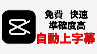 剪映專業版教學  自動幫你上字幕 準確度高達90％ 超快速上字幕 [upl. by Bay]