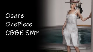 【Skyrim SE】Osare OnePiece CBBE 3BBB SMP v03 [upl. by Caspar748]