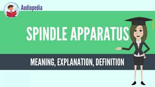 What Is SPINDLE APPARATUS SPINDLE APPARATUS Definition amp Meaning [upl. by Denae118]