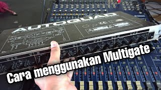 Fungsi Multigate Behringer  Langsung coba [upl. by Etteluap]