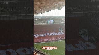 Sc Freiburg Choreo 😍🏟️ scf scfreiburg choreography [upl. by Thoma]