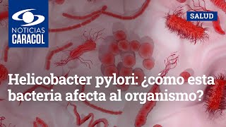 Helicobacter pylori ¿cómo esta bacteria afecta al organismo [upl. by Weidner]