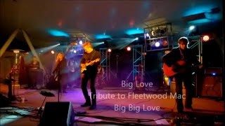 Big Love Tribute to Fleetwood Mac performs quotBig Lovequot Live [upl. by Infield628]