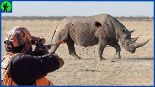 How Do Namibias Top Hunters Deal With Thousands Of Invading Rhinos  Farming Documentary [upl. by Lenna663]