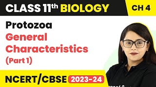 Protozoa General Characteristics Part 1  Animal Kingdom  Class 11 Biology Chapter 4 NCERTCBSE [upl. by Llehsor121]