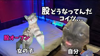 トー横の立ち◯ぼとホテルインしたらヤバすぎて逃げた話【猫ミーム】【猫マニ】 [upl. by Hsevahb]