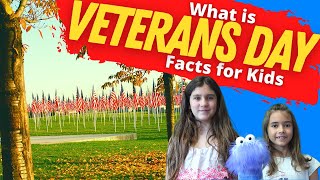 Why Do We Celebrate Veterans Day  Veterans Day Facts for Kids [upl. by Alexa352]