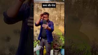 Kala aur gora  Mt tulsi Kumar ray  deviltulsiray shorts funny viral [upl. by Ahusoj]