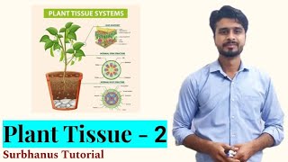 Plant Tissue Part  2 Histogen Theory Tunica Corpus Theory and Korper  kappe Theory Meristem [upl. by Cosenza]