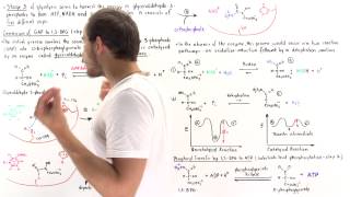 Stage 3 of Glycolysis Steps 6 7 [upl. by Essiralc]