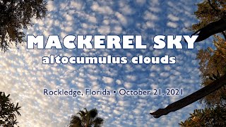 21 October 2021 Mackerel Sky timelapse of Florida altocumulus clouds [upl. by Siva677]