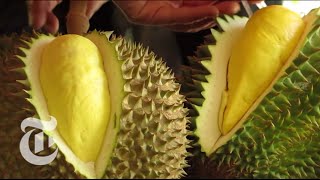 Durian  The Worlds Smelliest Fruit  The New York Times [upl. by Orson517]