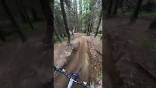 Hafjell bikepark mtb mtblife [upl. by Joya656]