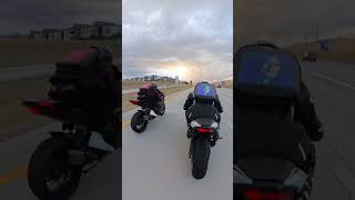 SHE COULDNT HANG motorcycle nyancat bikelife motorcyclelife zx6r biker [upl. by Socin]