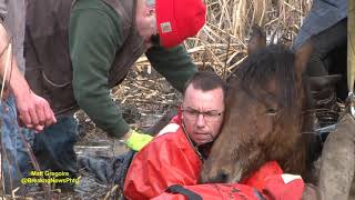 Dramatic horse rescue in North Smithfield RI [upl. by Huntley888]