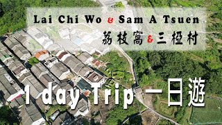 荔枝窩、三椏村 一日遊 Lai Chi Wo amp Sam A Tsuen One day trip [upl. by Etsyrk879]