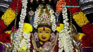 Frankfurt Sri Nagapooshani Amman song tamilsuruthi sivasri umaramanakkurukkal sri lanka [upl. by Axe]