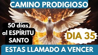 Día 35🔥🙏🔥CAMINO PRODIGIOSO 50 DÍAS AL ESPÍRITU SANTO eres católico para SABER VENCER LAS PRUEBAS💪 [upl. by Araeic]