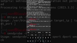 0trace The Ultimate TCP Traceroute Tool for Penetration Testers shorts [upl. by Winston]