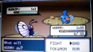 mudkip in pokemon shiny gold [upl. by Yeca]