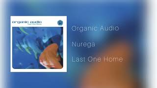 Nurega  Organic Audio Guitar Versión  Studio Rework [upl. by Ariaet]