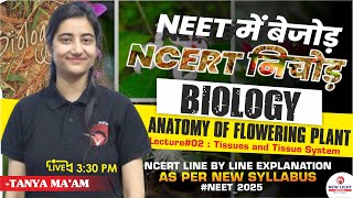 LIVE NEET 2025  BIOLOGY NCERT LINE BY LINE  ANATOMY OF FLOWERING PLANTS L02 newlightneet [upl. by Nnyled]