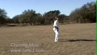 Choong Moo  Black Belt Recommended Form [upl. by Selfridge961]