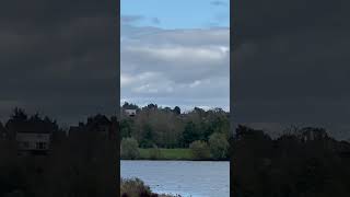 Linnet In Flight  Pugneys Country Park birds avian nature [upl. by Aborn]