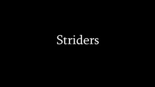 Striders Short Film [upl. by Torrell]