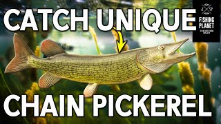 How to catch Unique Chain Pickerel on Emerald lake New York  Fishing Planet [upl. by Anay]