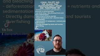 Threats to coral reefs alevel igcse geography gcse environmentalscience [upl. by Lim]