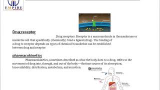 drug dose potency efficacypharmacology 2nd class [upl. by Jeggar]